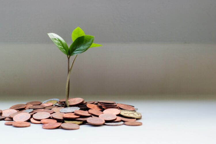 dental business growth